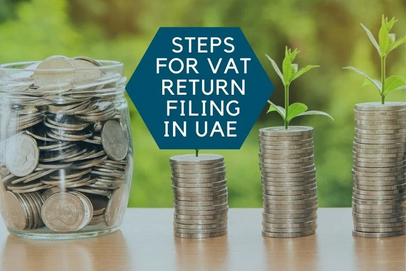 Steps to Succeed with VAT Return Filing in UAE - vat filing procedure in uae