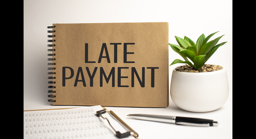 vat late penalities in uae